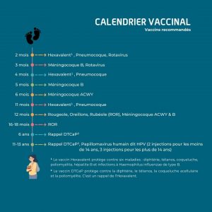 Infographie vaccins